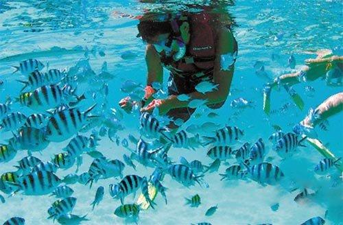 惠民便民举措不断,济宁有效提升公交服务水平