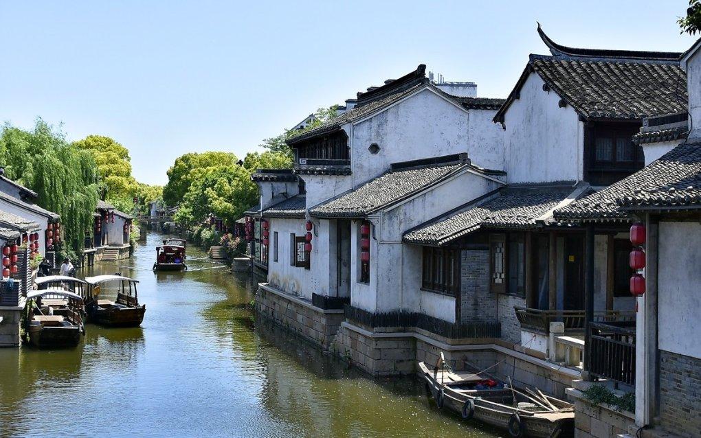 动物帮帮忙保卫家园