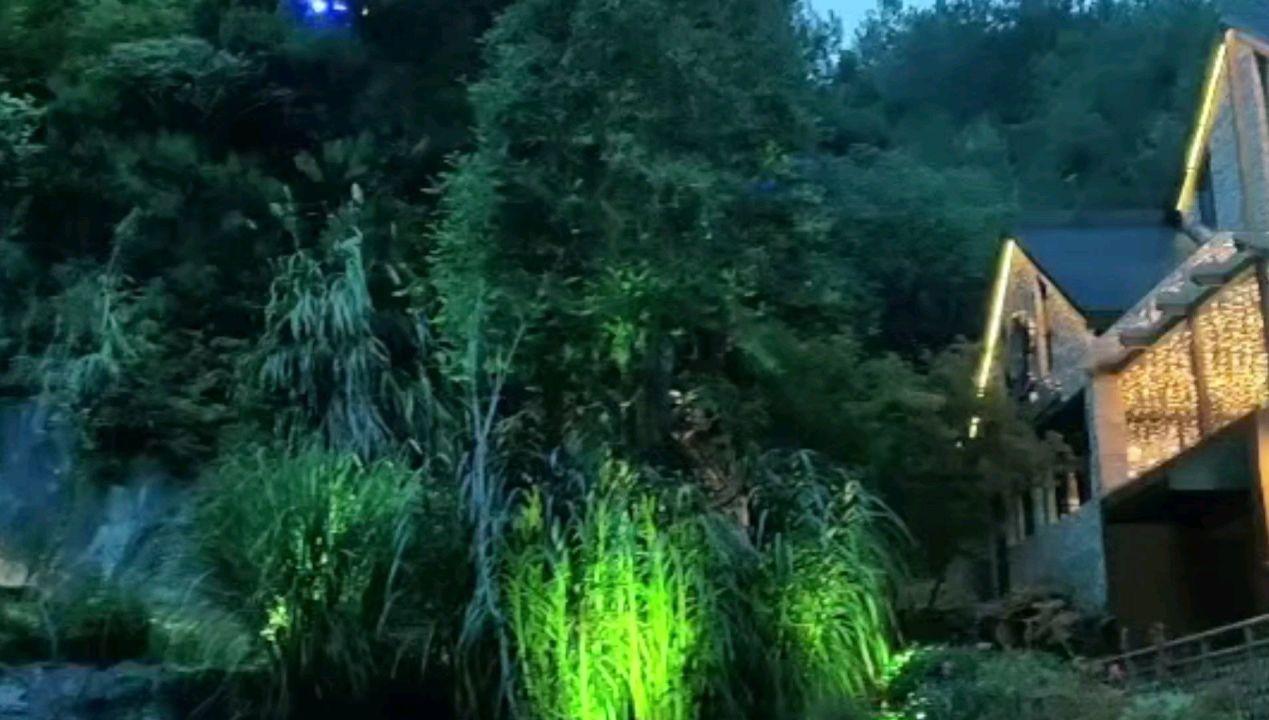龙年仪式感,翻花龙打卡展来长沙了!